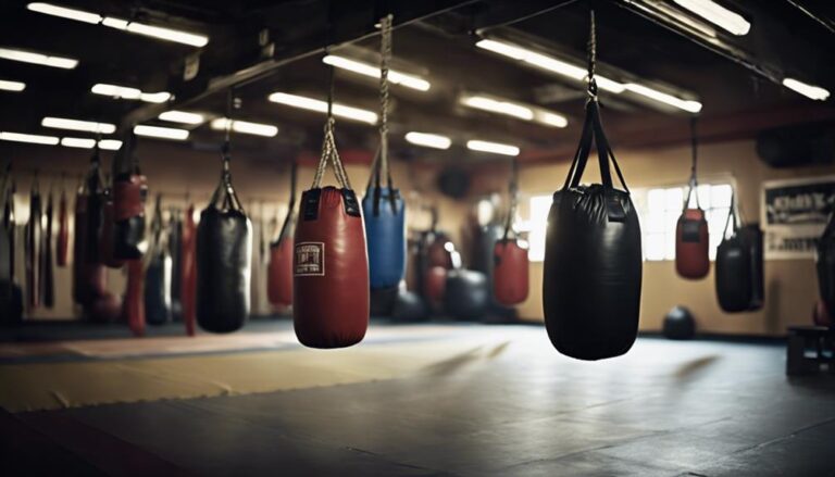 punch bags for training